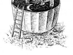 Иллюстрации